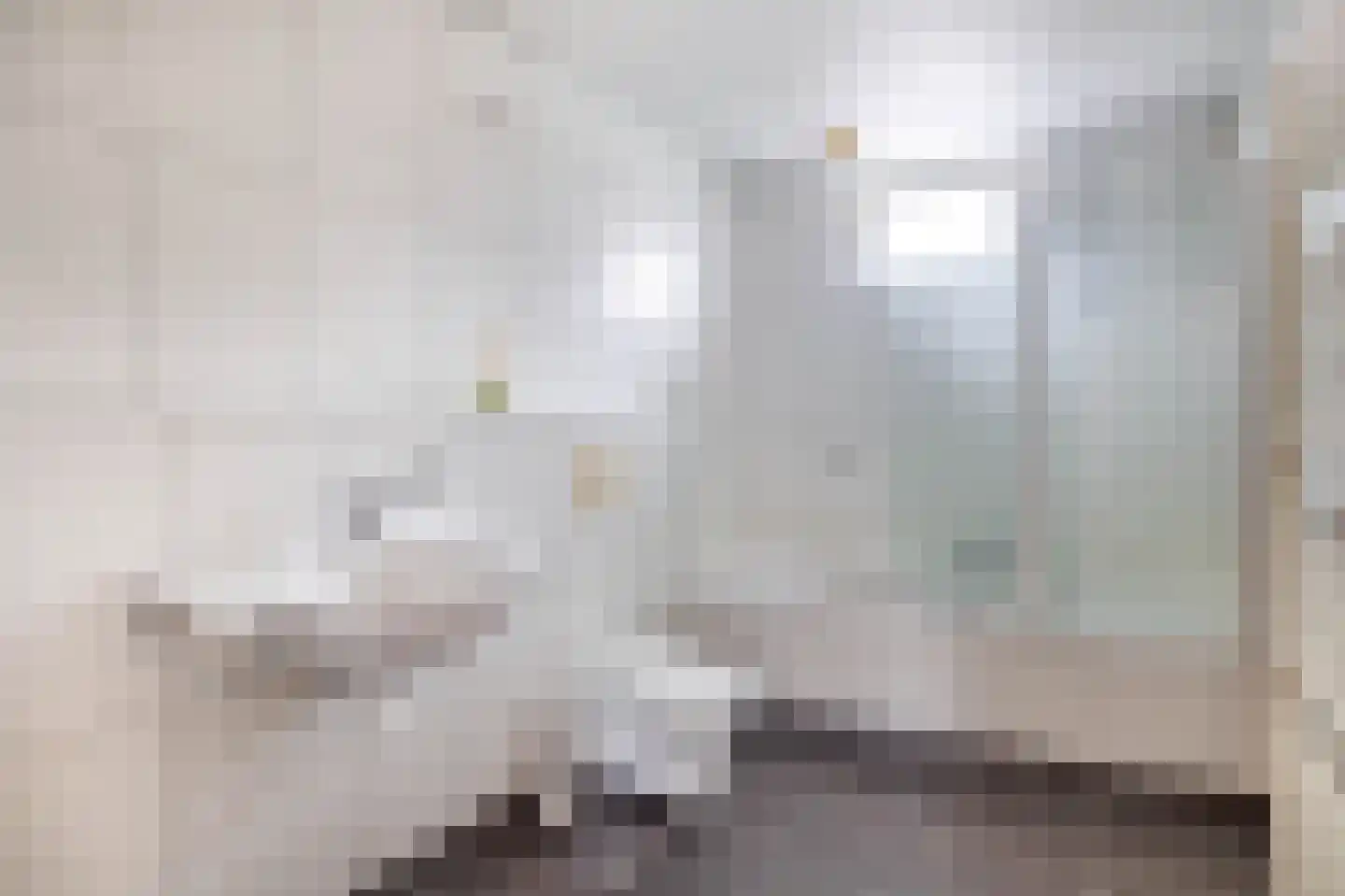 Nieuwe Tielseweg 34 Tiel thumbnail 22