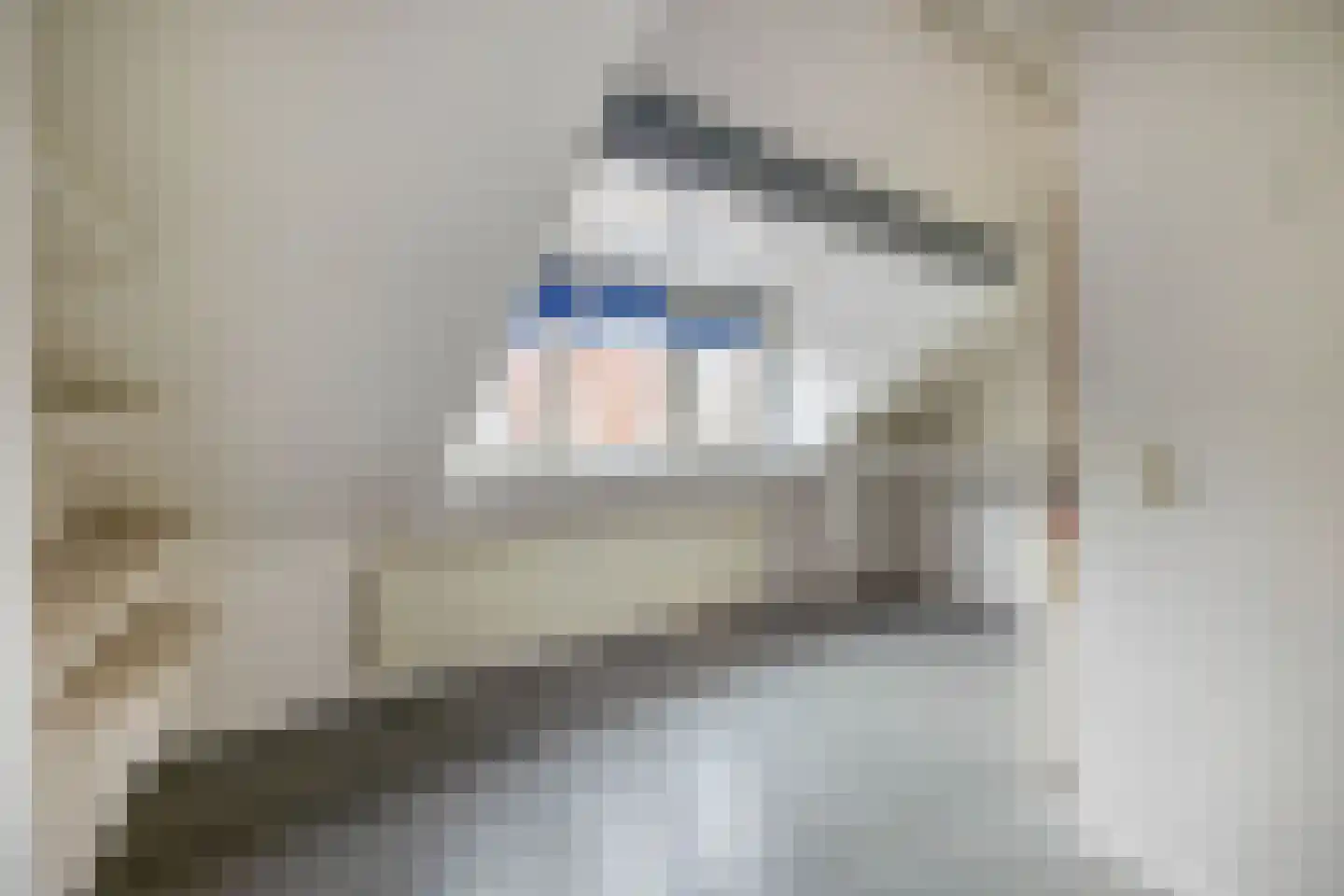 Nieuwe Tielseweg 34 Tiel thumbnail 25