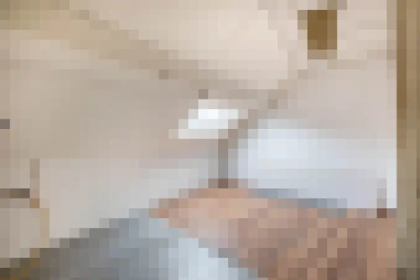 Nieuwe Tielseweg 34 Tiel thumbnail 26