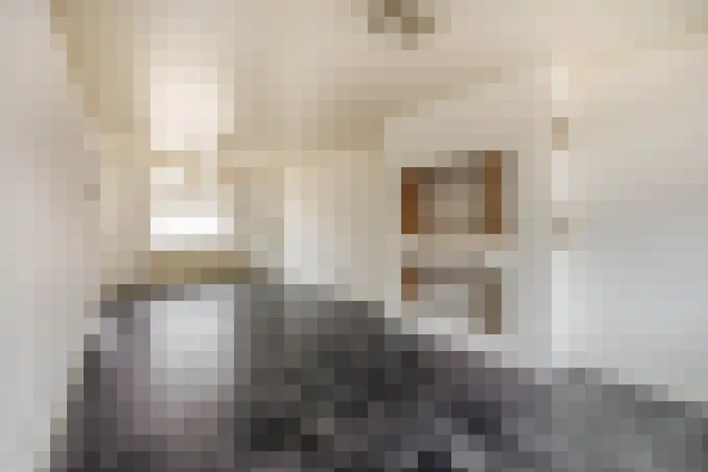 Nieuwe Tielseweg 34 Tiel thumbnail 5
