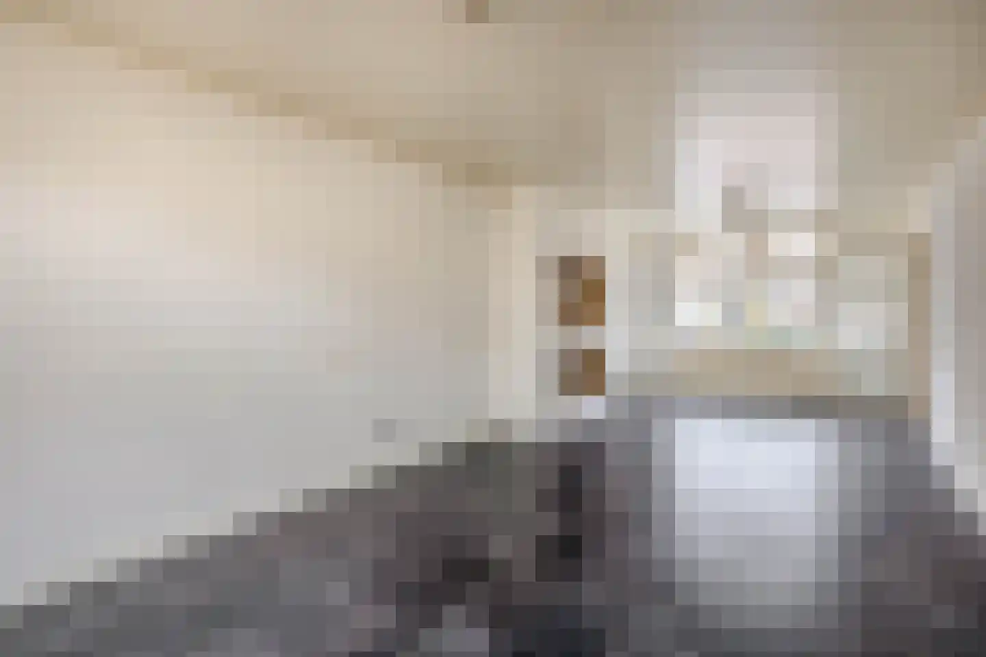Nieuwe Tielseweg 34 Tiel thumbnail 6