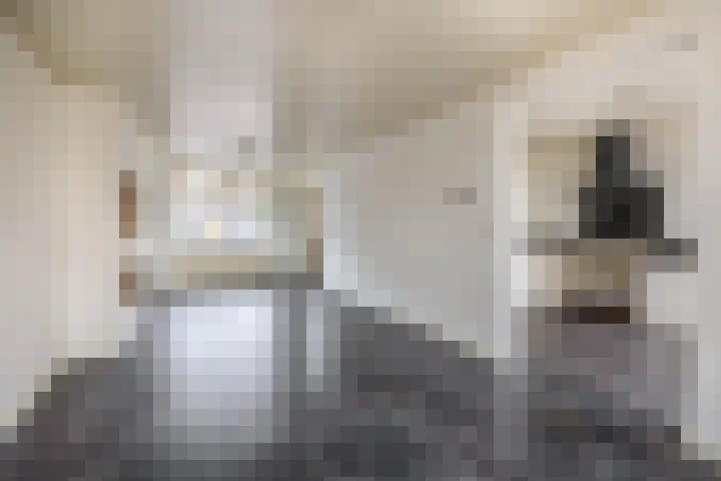 Nieuwe Tielseweg 34 Tiel thumbnail 7