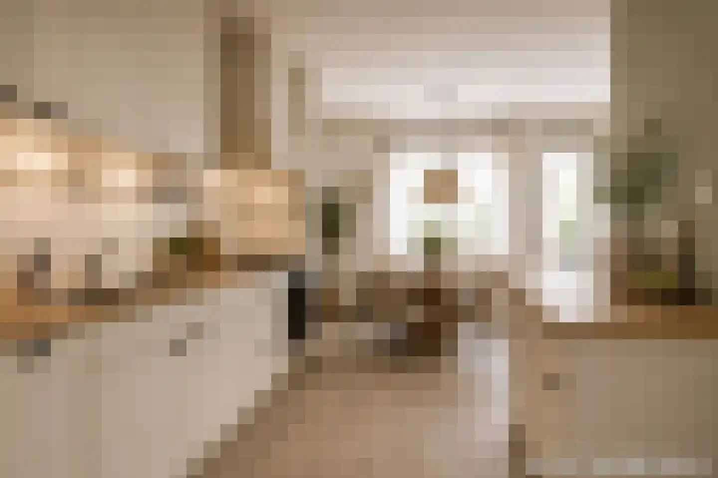 Nieuwe Tielseweg 42 Tiel thumbnail 11