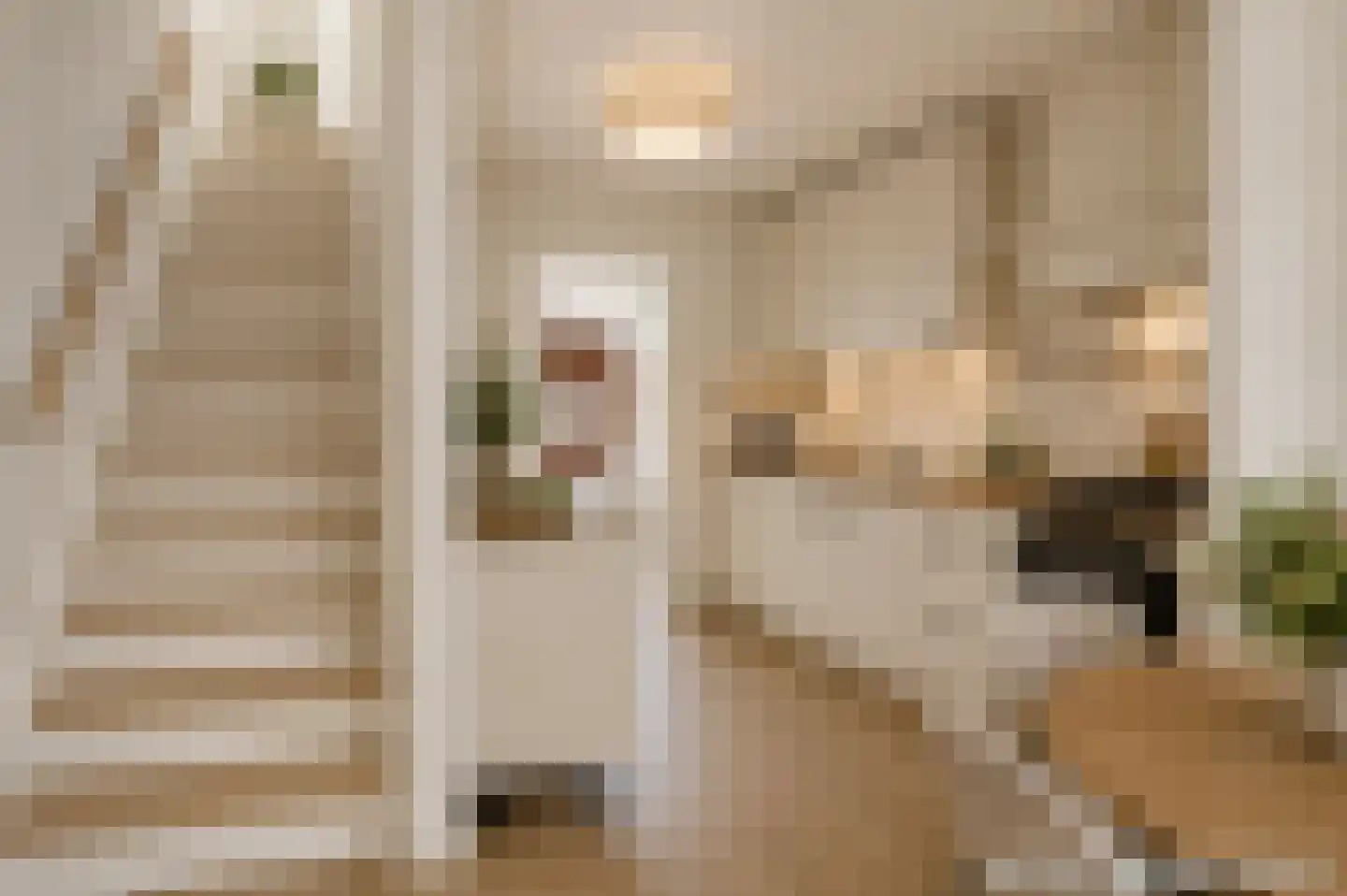 Nieuwe Tielseweg 42 Tiel thumbnail 13
