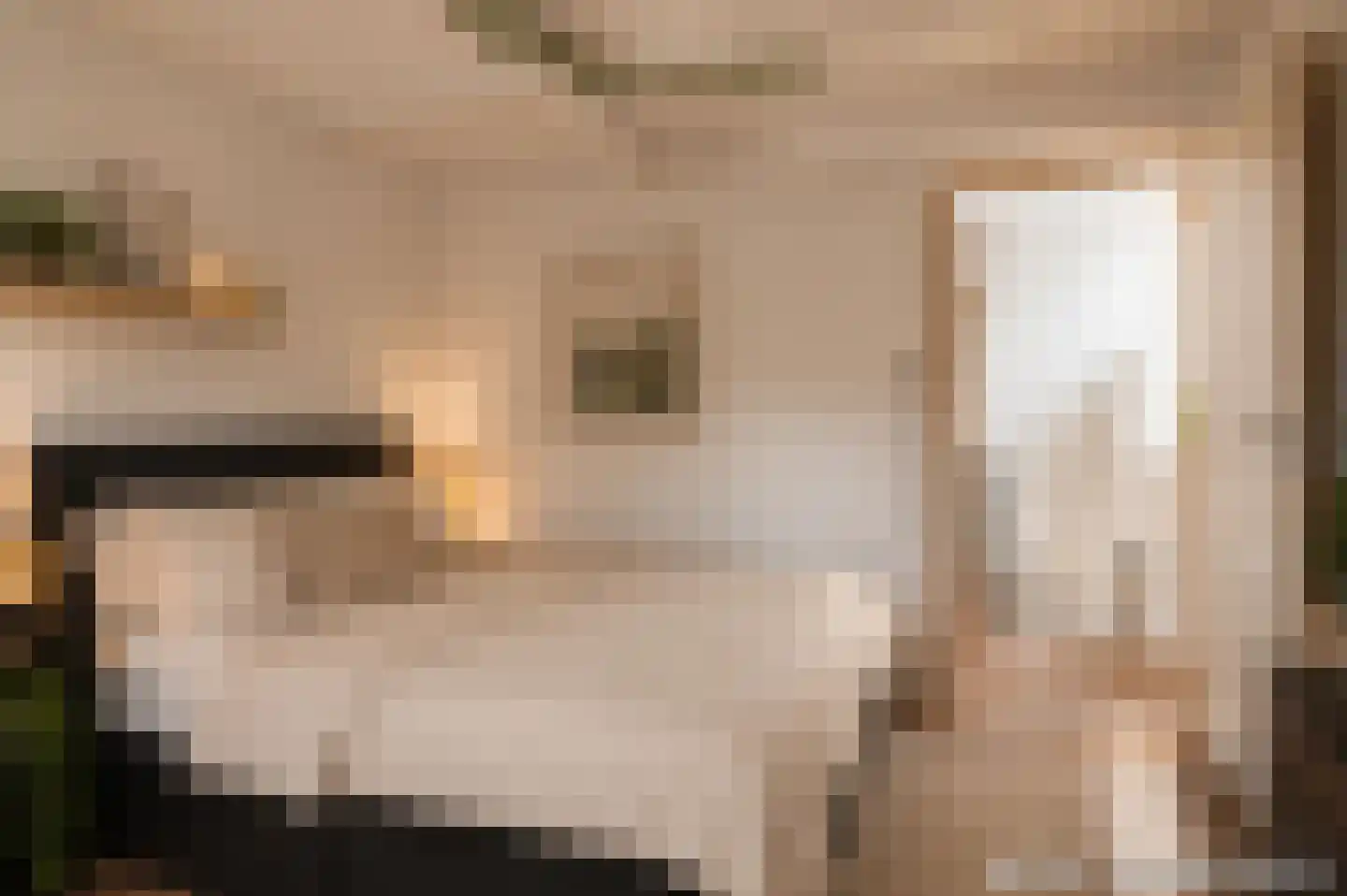 Nieuwe Tielseweg 42 Tiel thumbnail 15