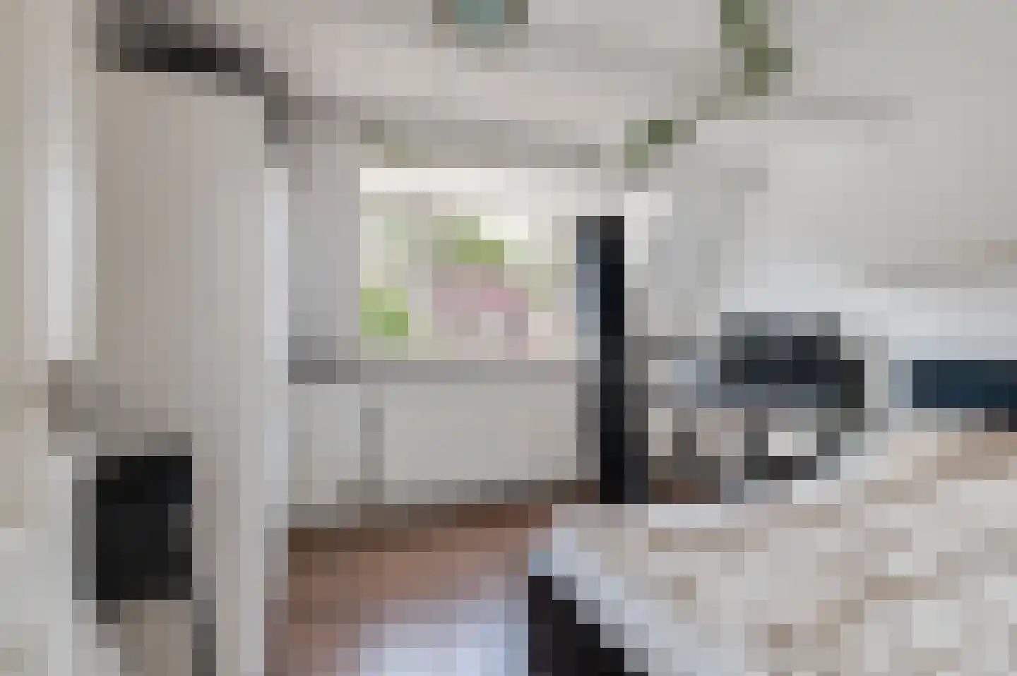 Nieuwe Tielseweg 42 Tiel thumbnail 16