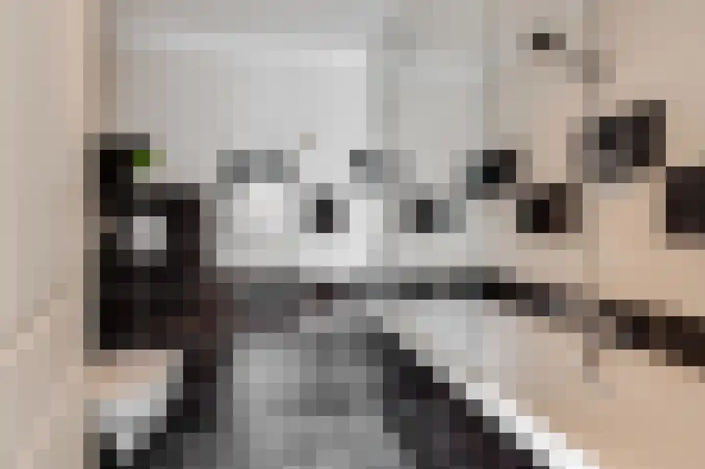Nieuwe Tielseweg 42 Tiel thumbnail 17