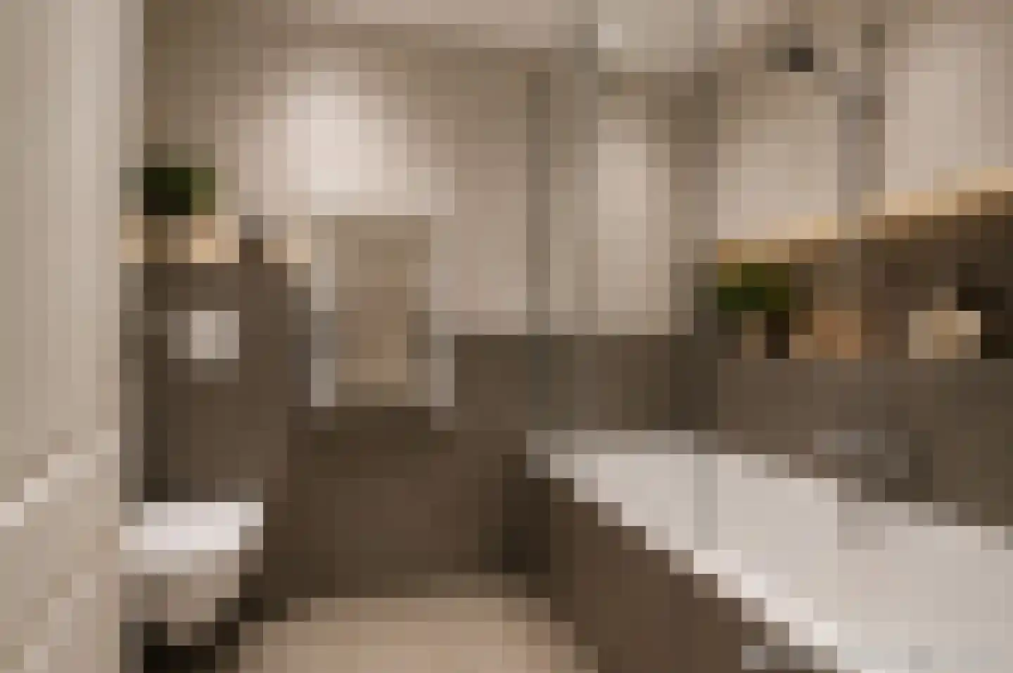 Nieuwe Tielseweg 42 Tiel thumbnail 18