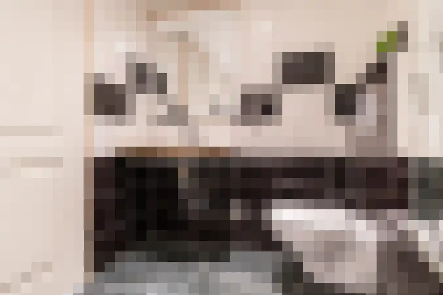 Nieuwe Tielseweg 42 Tiel thumbnail 19