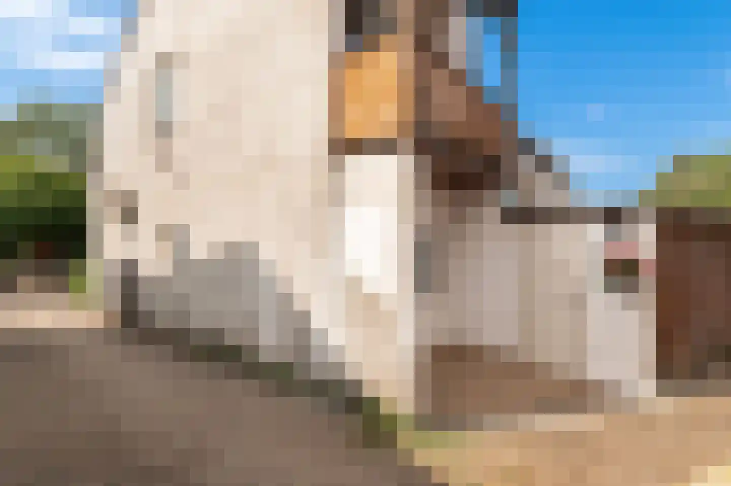 Nieuwe Tielseweg 42 Tiel thumbnail 25
