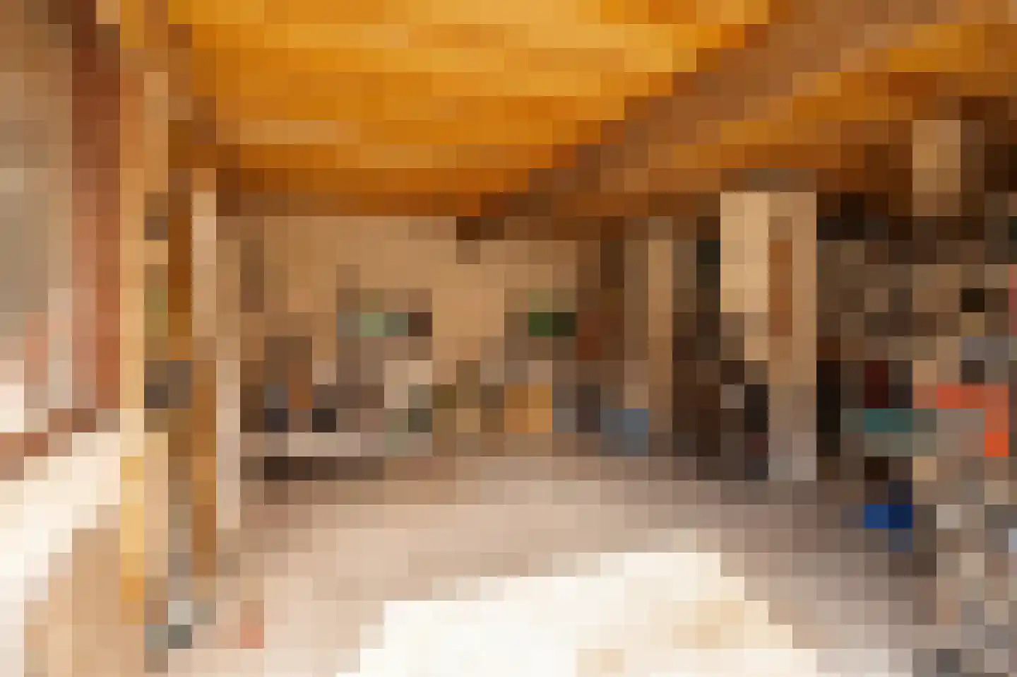 Nieuwe Tielseweg 42 Tiel thumbnail 28