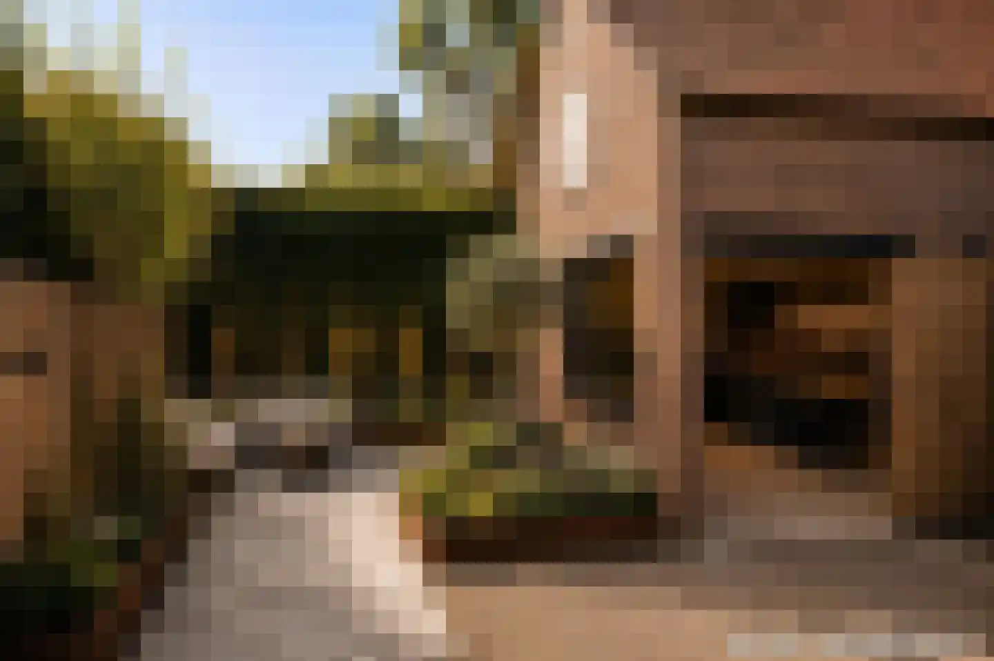 Nieuwe Tielseweg 42 Tiel thumbnail 31