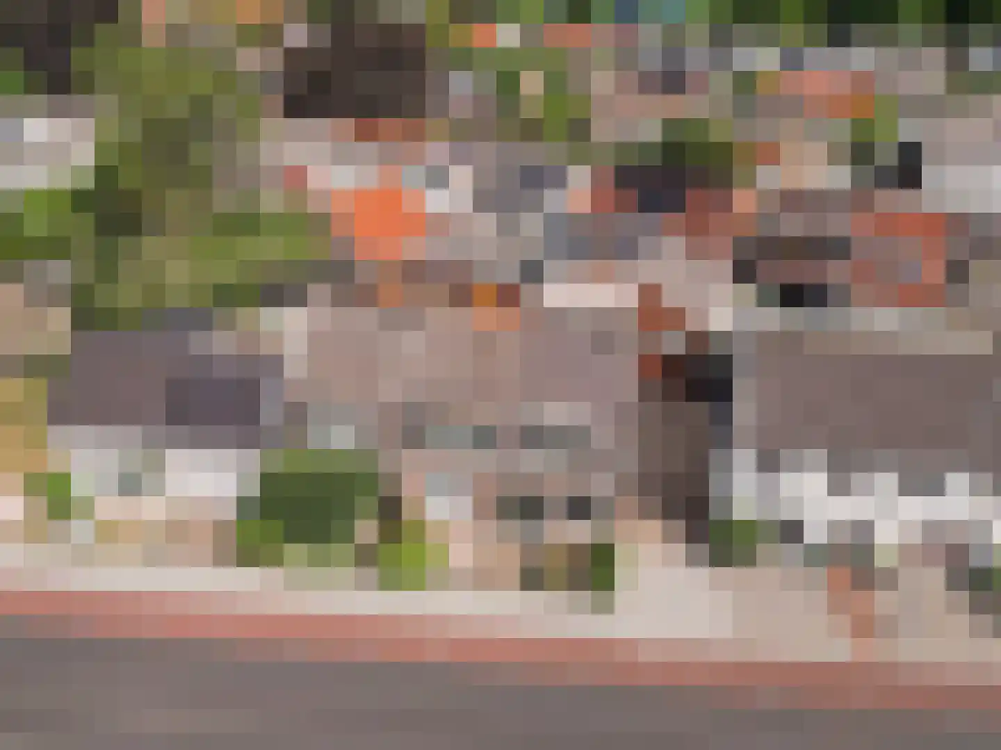 Nieuwe Tielseweg 42 Tiel thumbnail 32