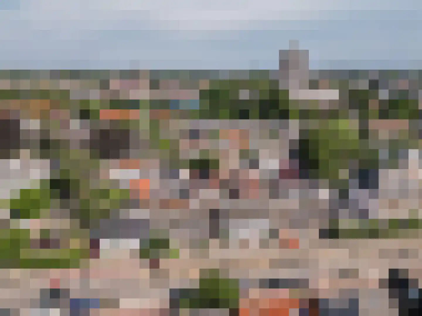 Nieuwe Tielseweg 42 Tiel thumbnail 33
