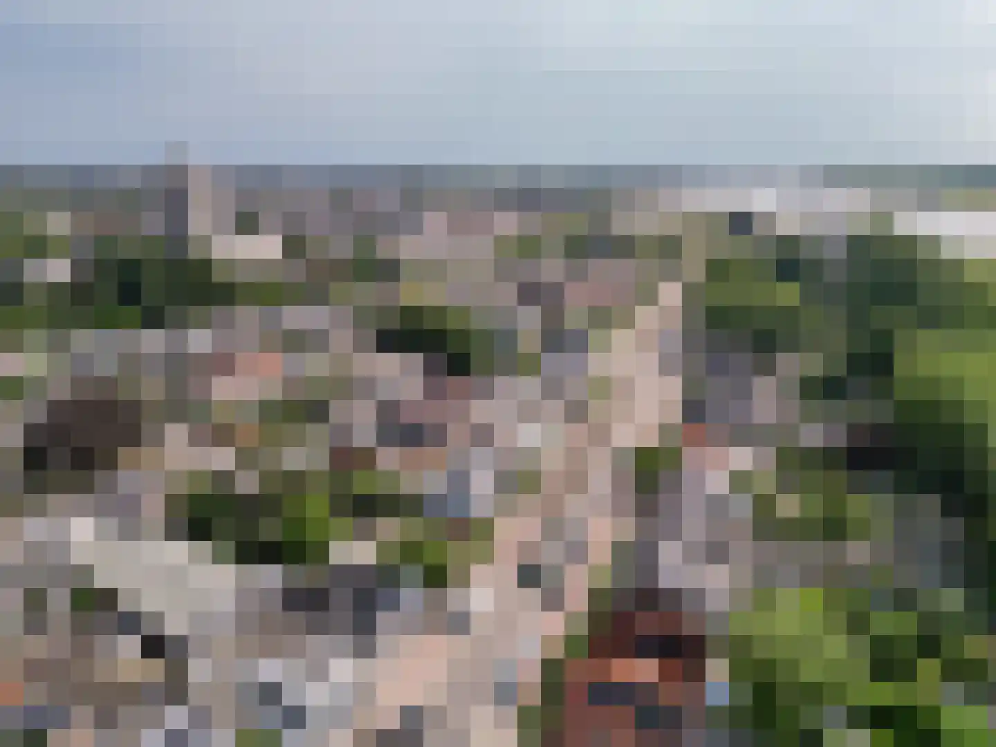 Nieuwe Tielseweg 42 Tiel thumbnail 34