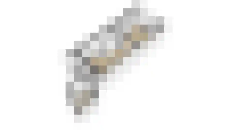 Nieuwe Tielseweg 42 Tiel thumbnail 36