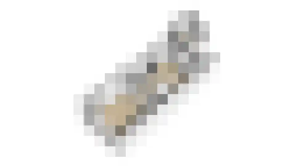 Nieuwe Tielseweg 42 Tiel thumbnail 37