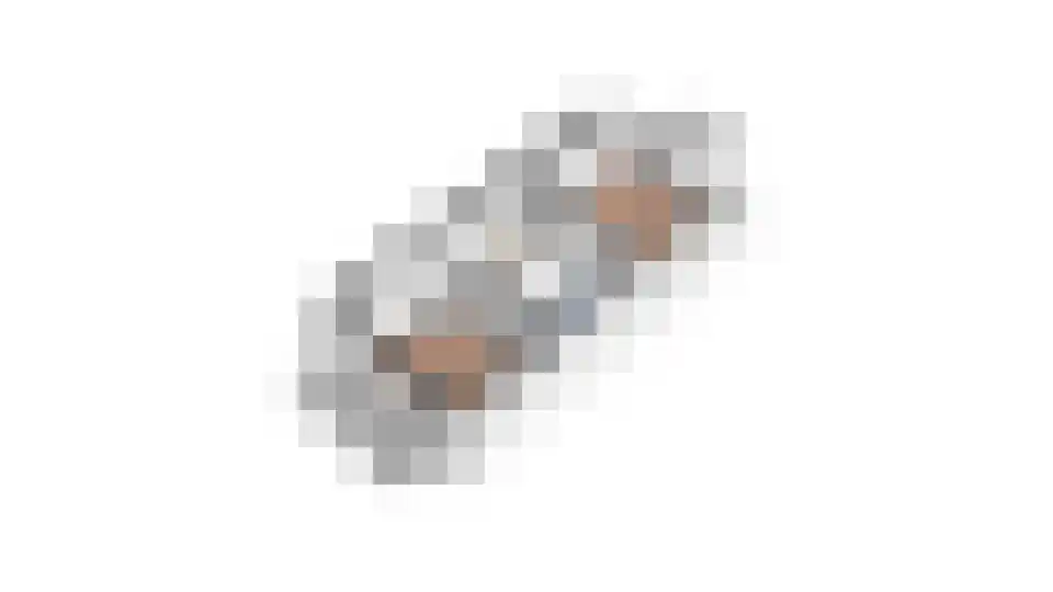 Nieuwe Tielseweg 42 Tiel thumbnail 39