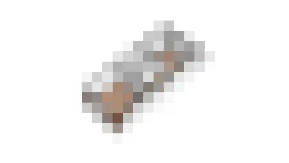 Nieuwe Tielseweg 42 Tiel thumbnail 40