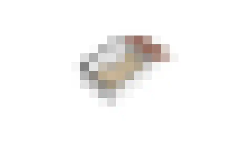 Nieuwe Tielseweg 42 Tiel thumbnail 42