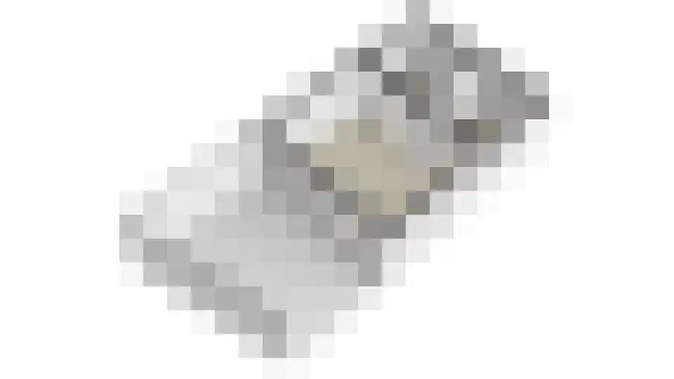 Nieuwe Tielseweg 42 Tiel thumbnail 45