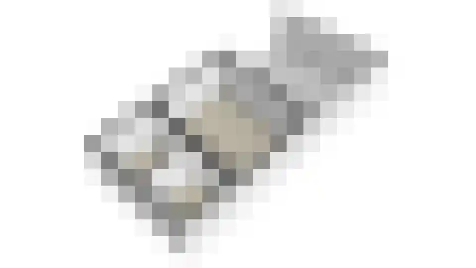 Nieuwe Tielseweg 42 Tiel thumbnail 46