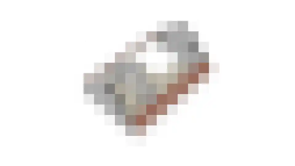 Nieuwe Tielseweg 42 Tiel thumbnail 48
