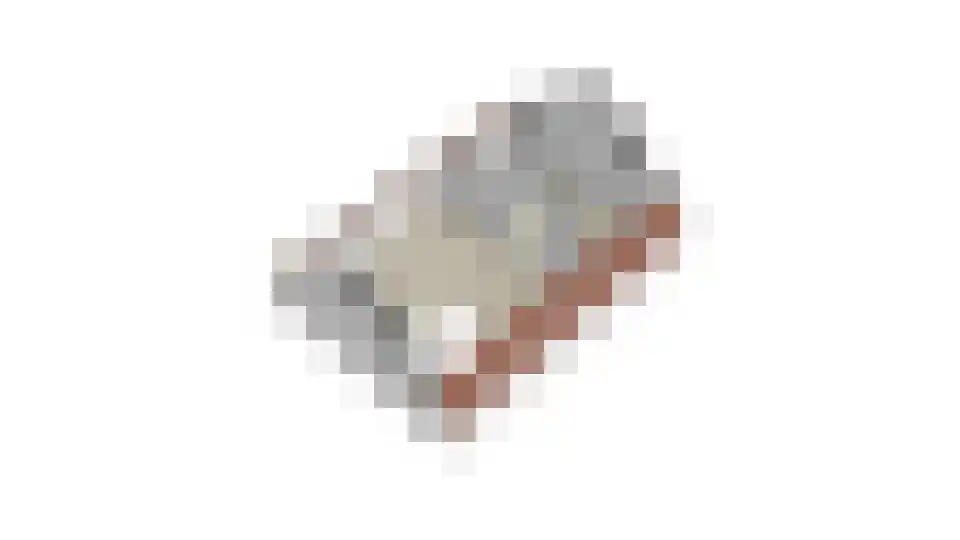 Nieuwe Tielseweg 42 Tiel thumbnail 49