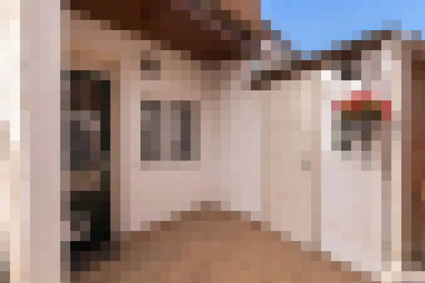 Nieuwe Tielseweg 42 Tiel thumbnail 6