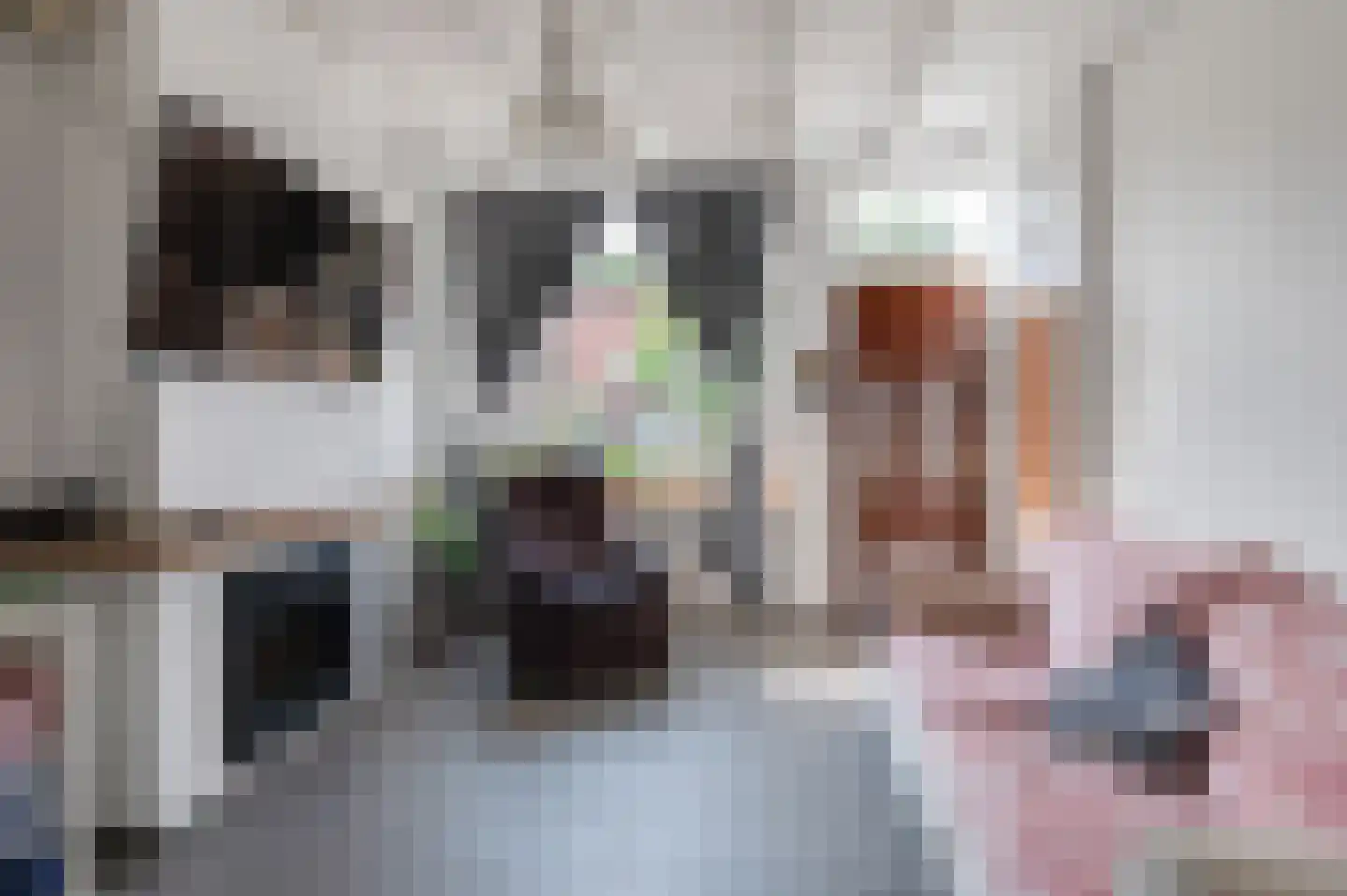 Nieuwe Tielseweg 42 Tiel thumbnail 7