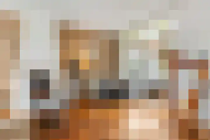 Nieuwe Tielseweg 53 Tiel thumbnail 10