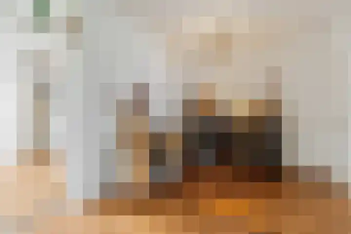 Nieuwe Tielseweg 53 Tiel thumbnail 12