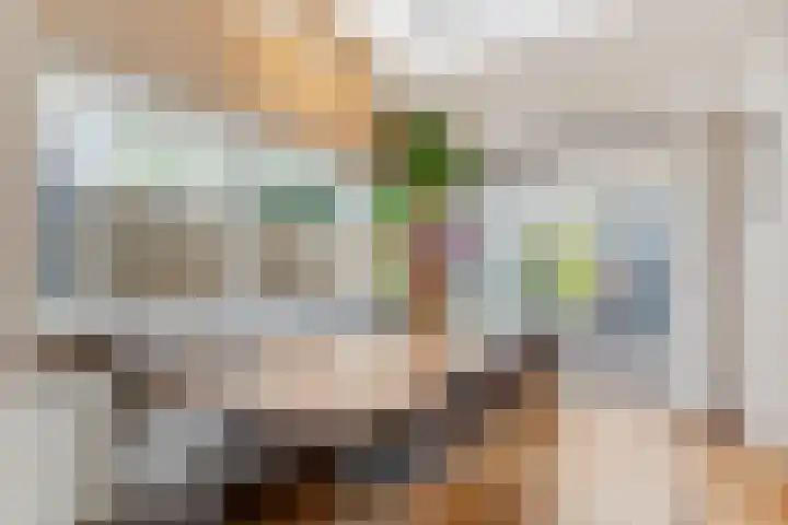 Nieuwe Tielseweg 53 Tiel thumbnail 13