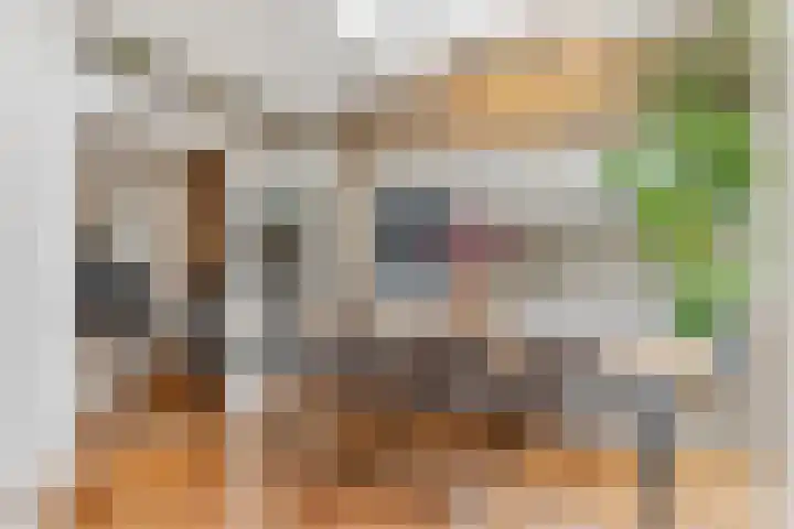 Nieuwe Tielseweg 53 Tiel thumbnail 14