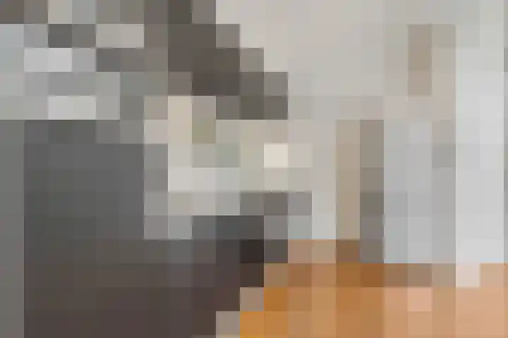 Nieuwe Tielseweg 53 Tiel thumbnail 15