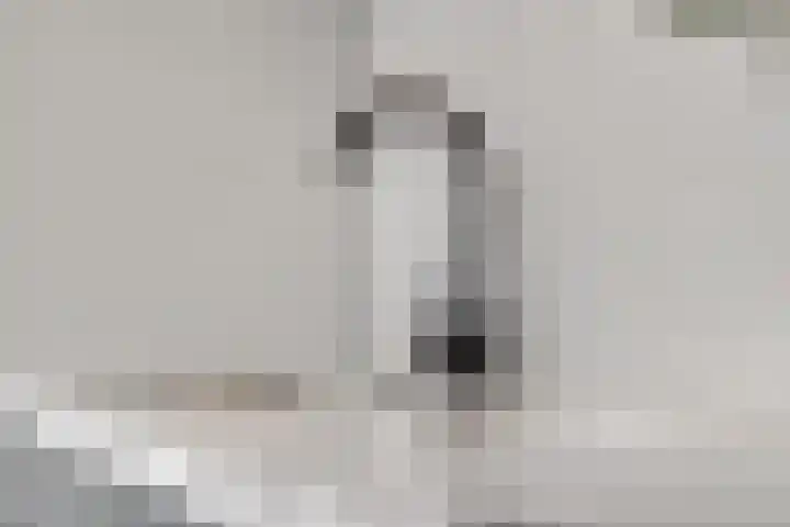 Nieuwe Tielseweg 53 Tiel thumbnail 16