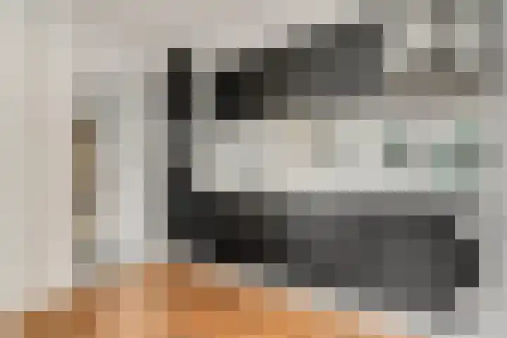 Nieuwe Tielseweg 53 Tiel thumbnail 17