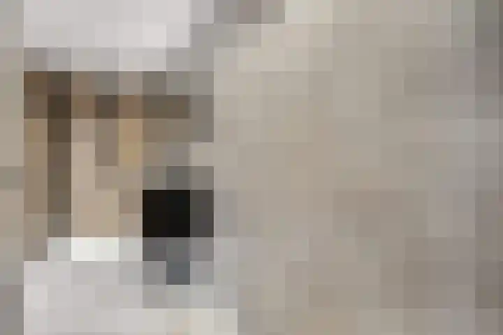 Nieuwe Tielseweg 53 Tiel thumbnail 18