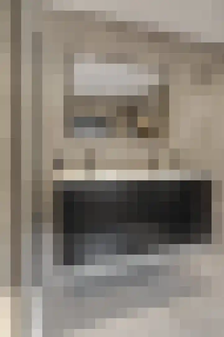 Nieuwe Tielseweg 53 Tiel thumbnail 20