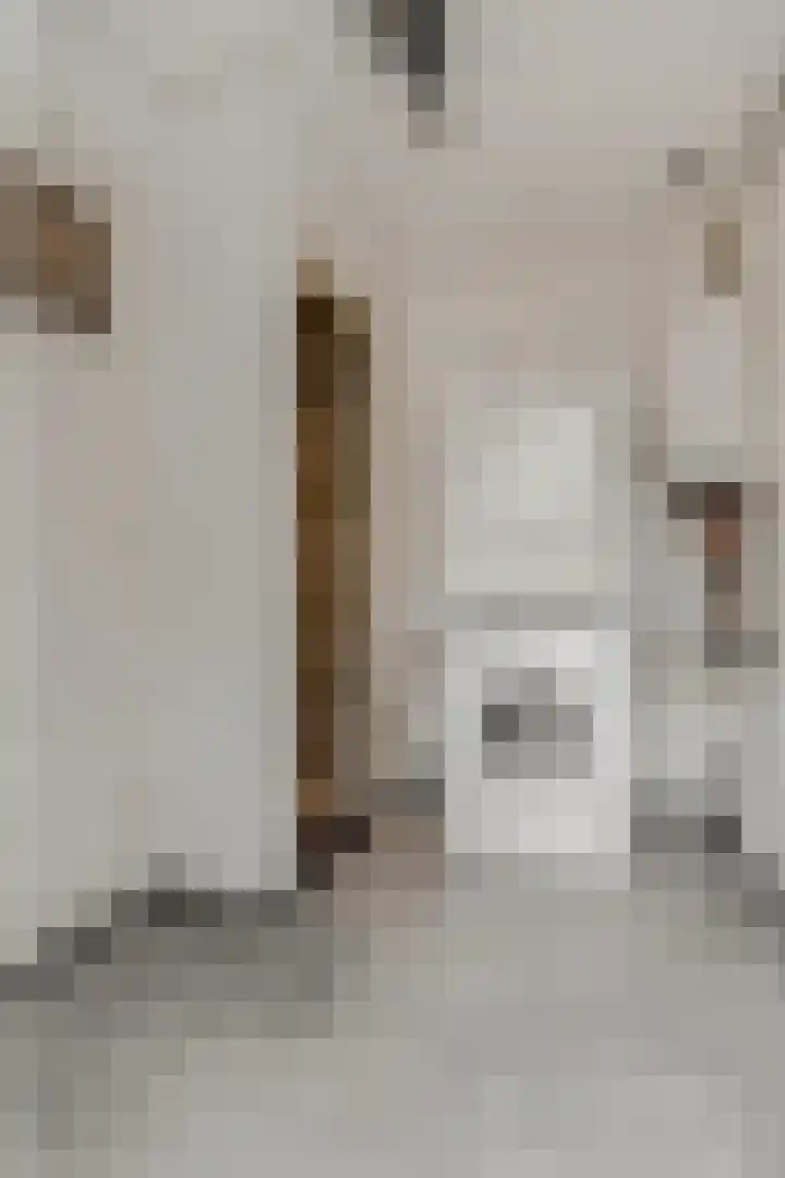 Nieuwe Tielseweg 53 Tiel thumbnail 22