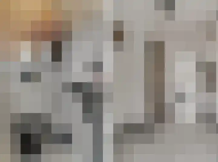 Nieuwe Tielseweg 53 Tiel thumbnail 23
