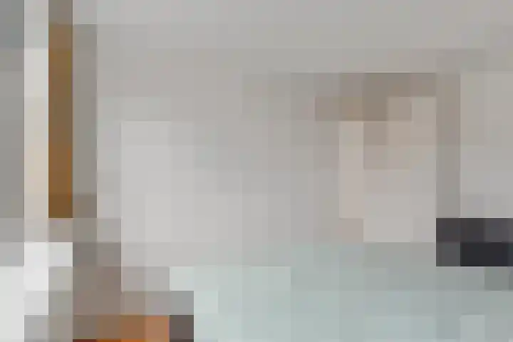 Nieuwe Tielseweg 53 Tiel thumbnail 27