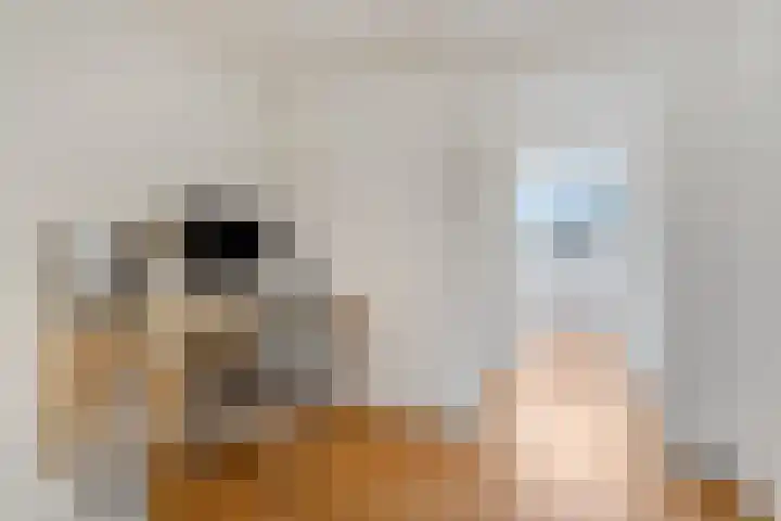 Nieuwe Tielseweg 53 Tiel thumbnail 28