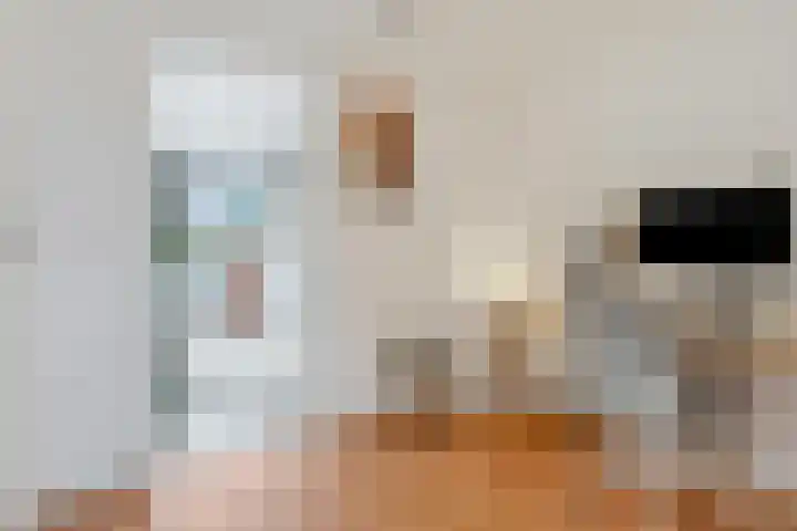 Nieuwe Tielseweg 53 Tiel thumbnail 30