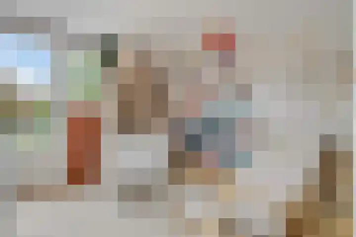 Nieuwe Tielseweg 53 Tiel thumbnail 31
