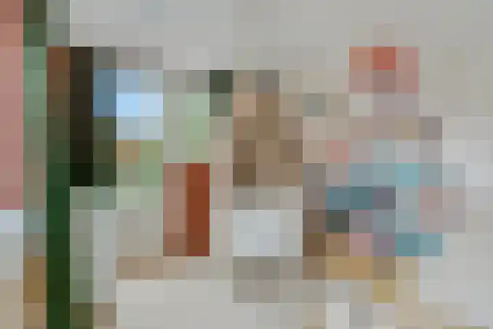 Nieuwe Tielseweg 53 Tiel thumbnail 32