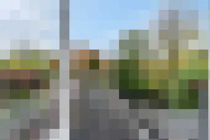 Nieuwe Tielseweg 53 Tiel thumbnail 33