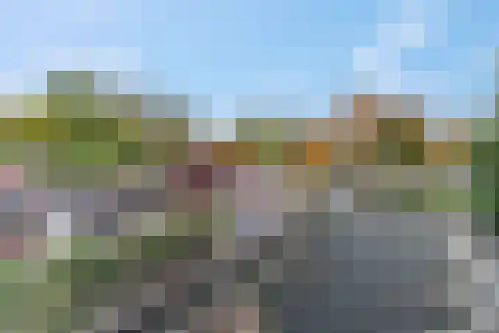 Nieuwe Tielseweg 53 Tiel thumbnail 34