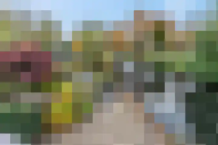 Nieuwe Tielseweg 53 Tiel thumbnail 36