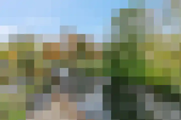 Nieuwe Tielseweg 53 Tiel thumbnail 37